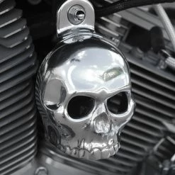 Chrome Dome Polished 3-D Skull With Cut Out Eyes Horn Cover
