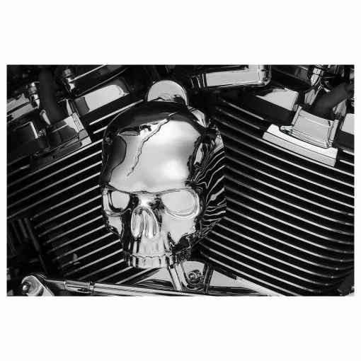Kuryakyn Skull Horn Cover 4 Kuryakyn Skull Horn Cover -Hot Sale Ignition Systems Shop 240 0901 A V1