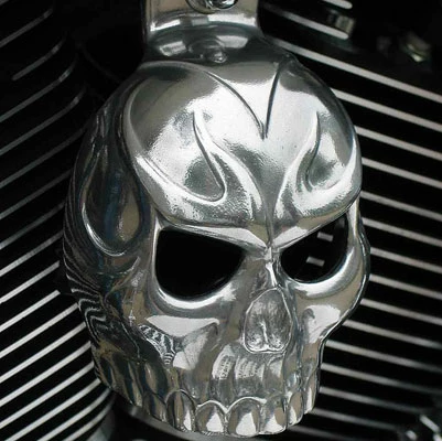 Chrome Dome Polished Evil Twin Skull Horn Cover 6 Chrome Dome Polished Evil Twin Skull Horn Cover -Hot Sale Ignition Systems Shop 360 125 A V1