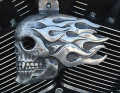 Chrome Dome Aged Aluminum Flaming Skull Horn Cover